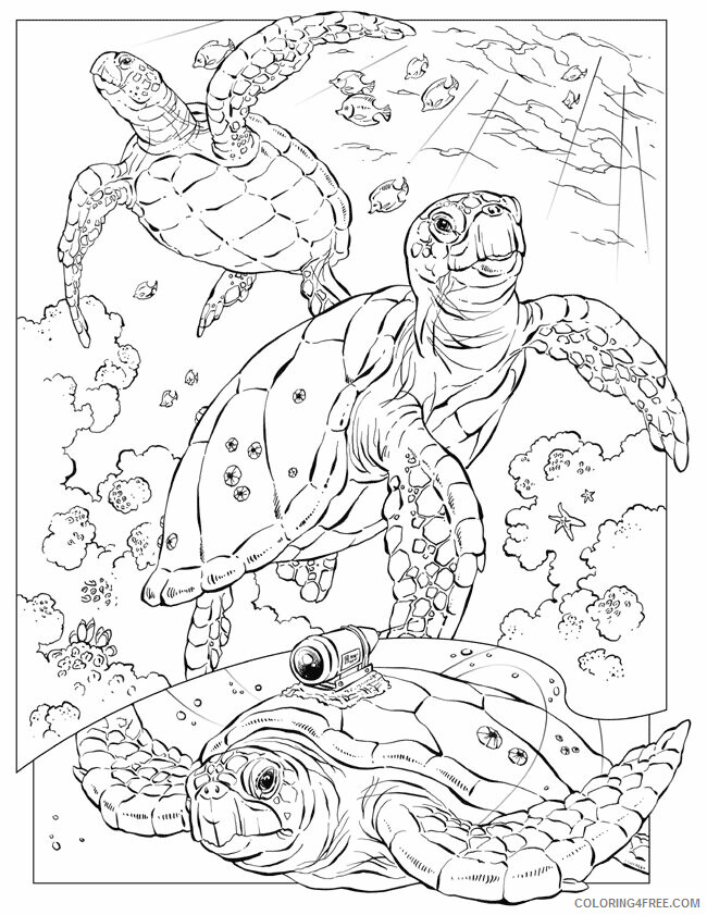 Tortoise Coloring Sheets Animal Coloring Pages Printable 2021 4427 Coloring4free