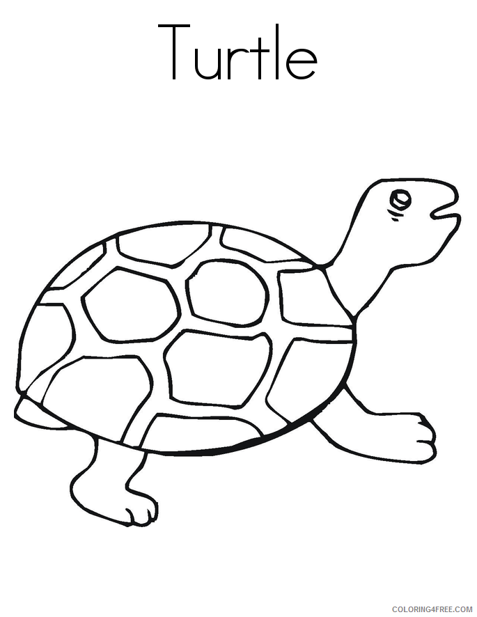 Tortoise Coloring Sheets Animal Coloring Pages Printable 2021 4428 Coloring4free