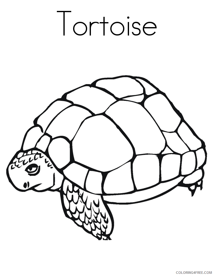 Tortoise Coloring Sheets Animal Coloring Pages Printable 2021 4430 Coloring4free