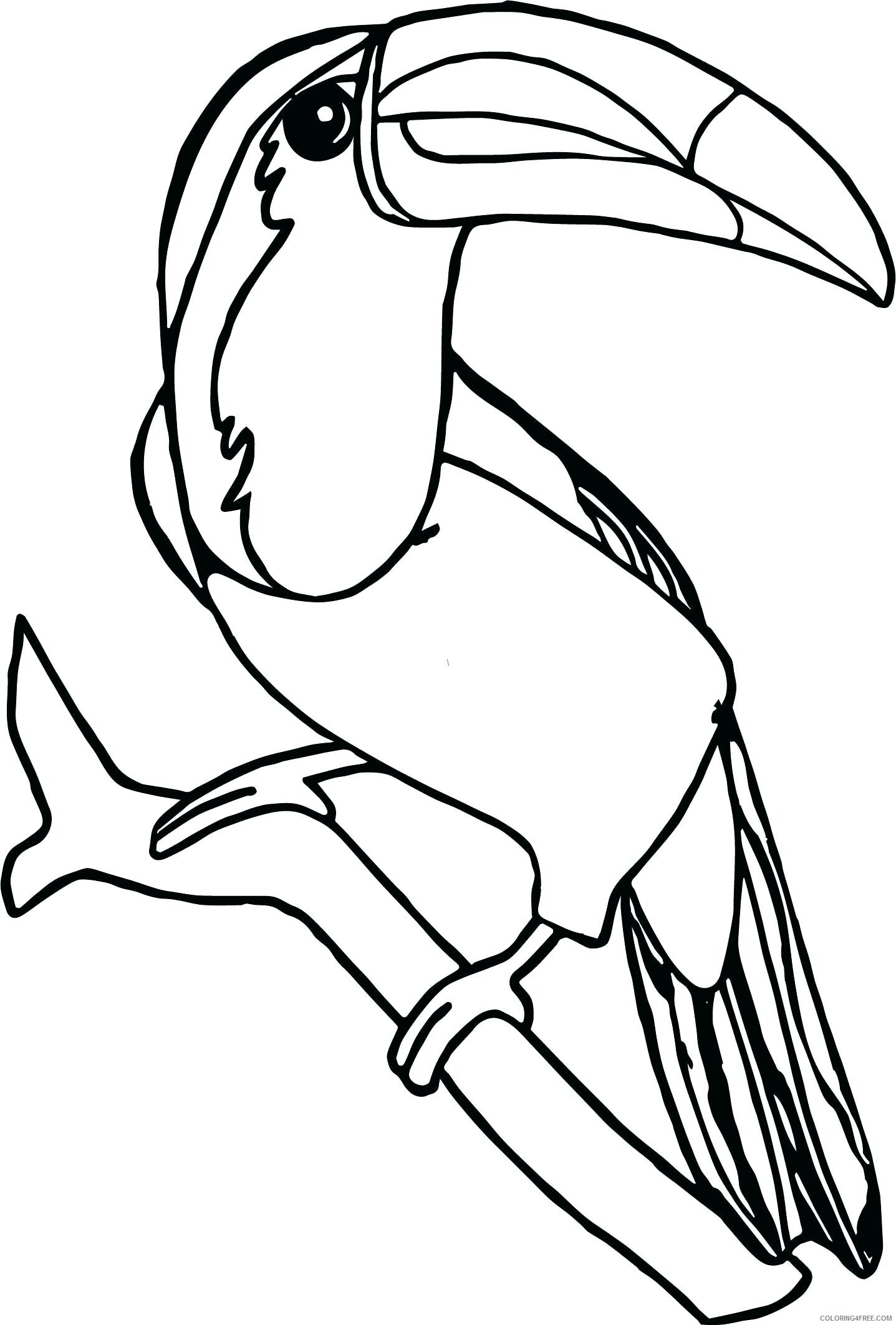 Toucan Coloring Pages Animal Printable Sheets Pretty Toucan 2021 4817 Coloring4free