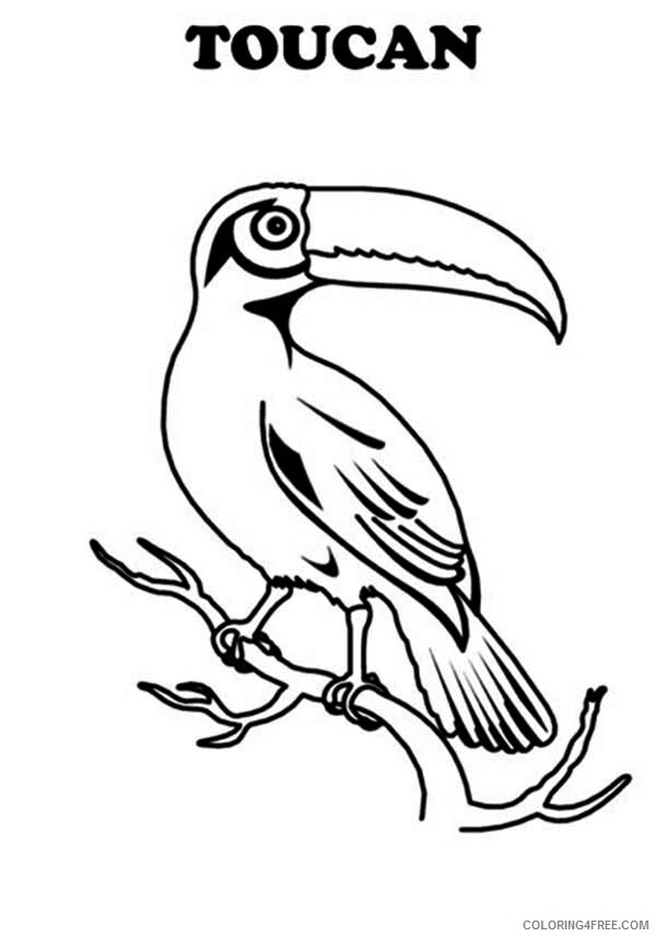 Toucan Coloring Pages Animal Printable Sheets T is for Toucan 2021 4819 Coloring4free