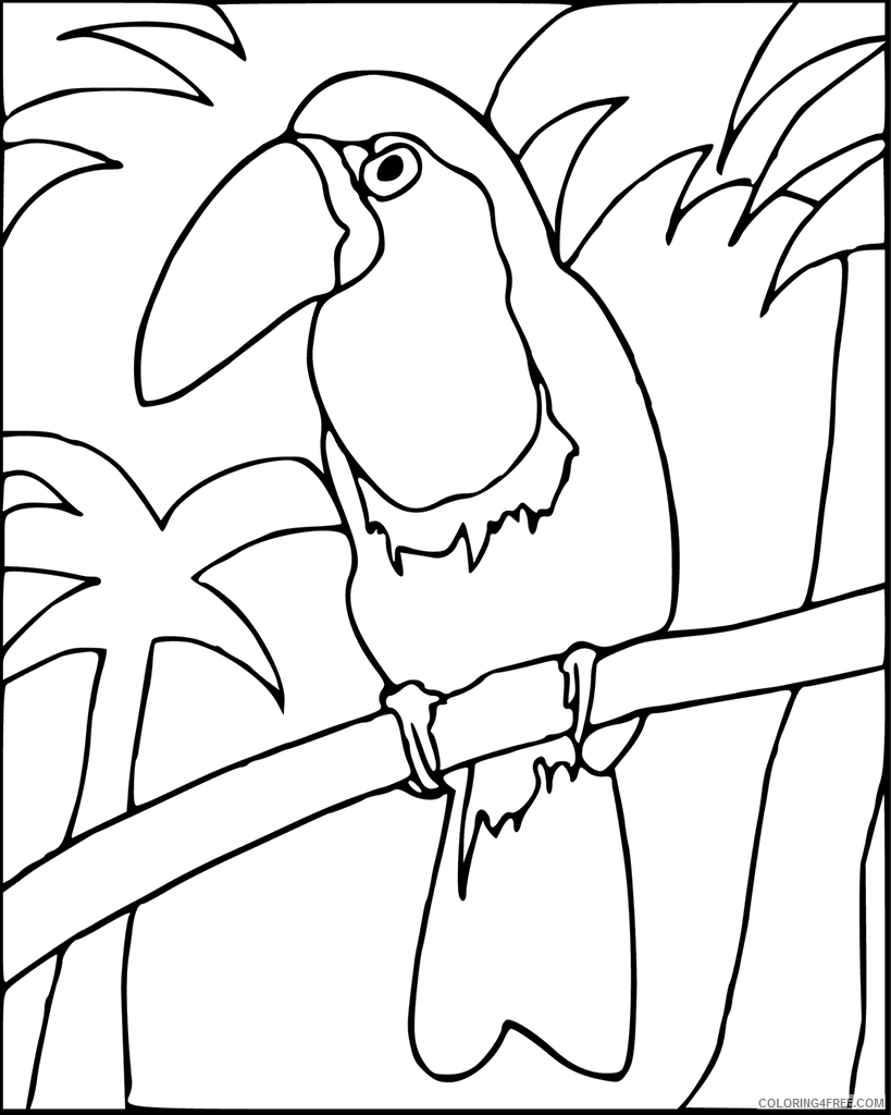 Toucan Coloring Pages Animal Printable Sheets Toucan 2 2021 4828 Coloring4free