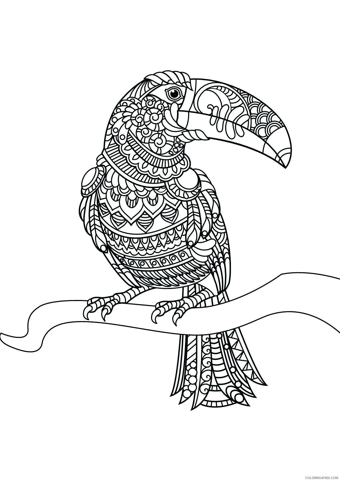 Toucan Coloring Pages Animal Printable Sheets Zen Toucan 2021 4836 Coloring4free