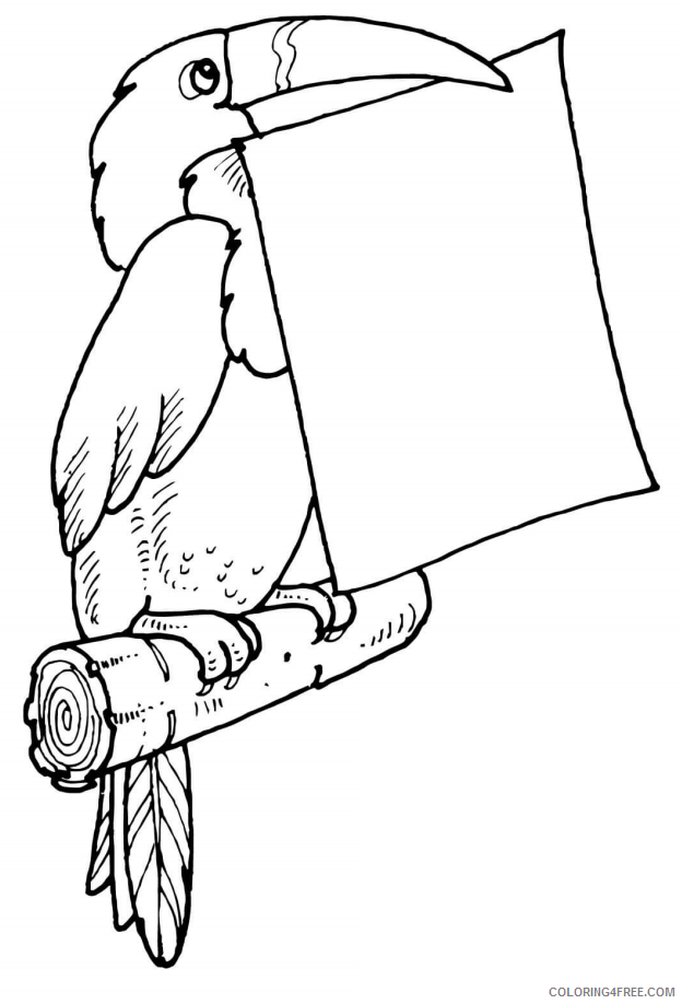 Toucan Coloring Pages Animal Printable Sheets toucan holding letter 2021 4829 Coloring4free