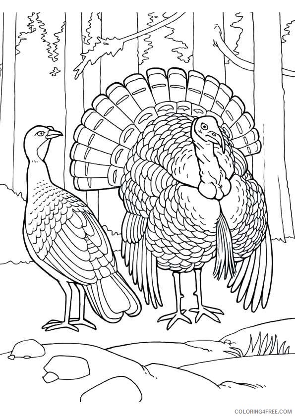 Turkey Coloring Sheets Animal Coloring Pages Printable 2021 4463 Coloring4free