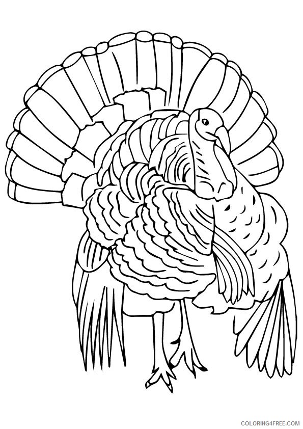 Turkey Coloring Sheets Animal Coloring Pages Printable 2021 4464 Coloring4free