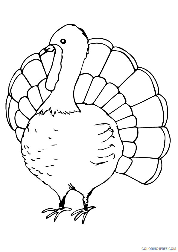 Turkey Coloring Sheets Animal Coloring Pages Printable 2021 4469 Coloring4free