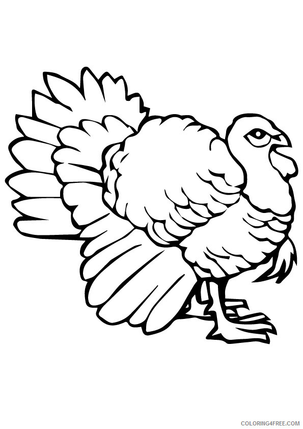 Turkey Coloring Sheets Animal Coloring Pages Printable 2021 4473 Coloring4free