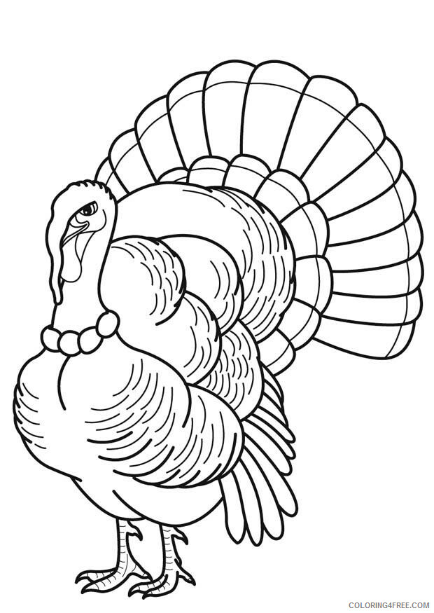 Turkeys Coloring Pages Animal Printable Sheets Turkey 2021 4882 Coloring4free