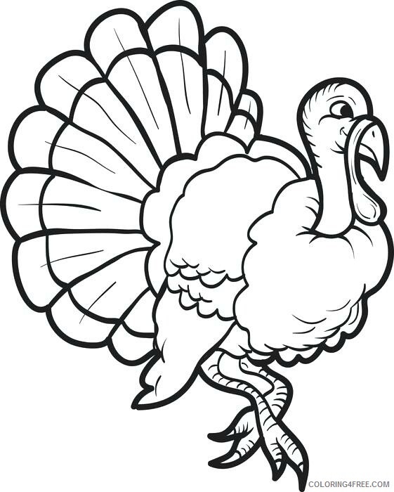 Turkeys Coloring Pages Animal Printable Sheets Turkey November 2021 4883 Coloring4free