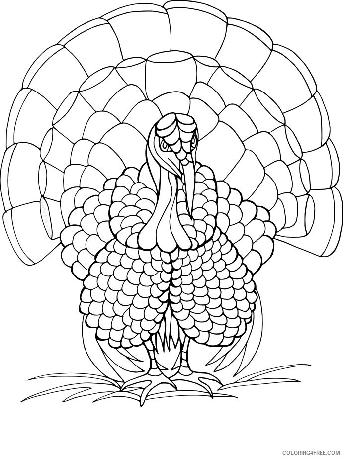 Turkeys Coloring Pages Animal Printable Sheets of Turkey 2021 4861 Coloring4free