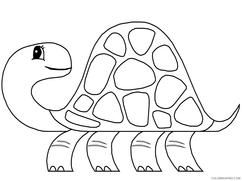 Turtle Coloring Pages Animal Printable Sheets 6 2021 4891 Coloring4free