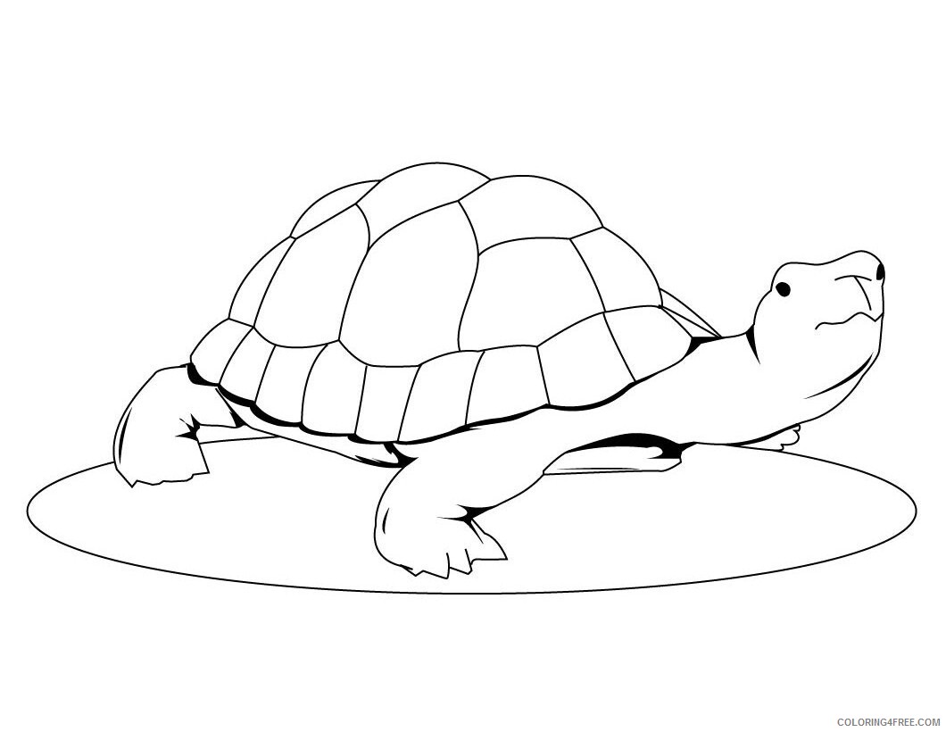 Turtle Coloring Pages Animal Printable Sheets Cute Turtle 2021 4899 Coloring4free