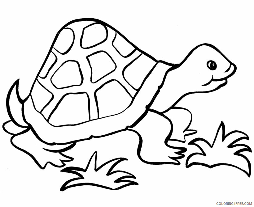 Turtle Coloring Pages Animal Printable Sheets Easy Turtle 2021 4901 Coloring4free