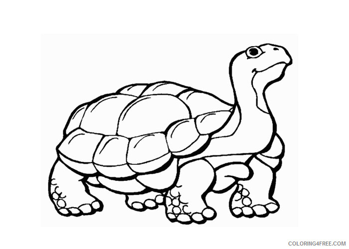 Turtle Coloring Pages Animal Printable Sheets Turtle 2 2021 4906 Coloring4free