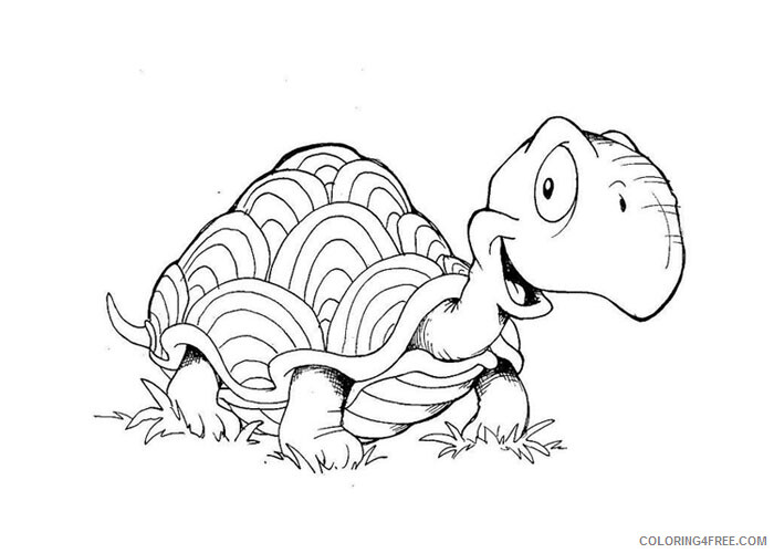 Turtle Coloring Pages Animal Printable Sheets Turtle1 2021 4904 Coloring4free