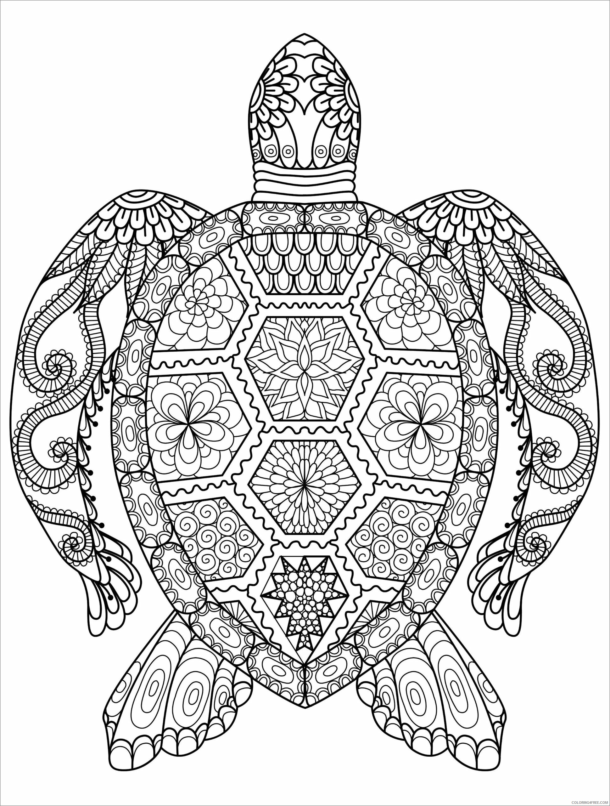 Turtle Coloring Pages Animal Printable Sheets animal mandala turtle 2021 4893 Coloring4free