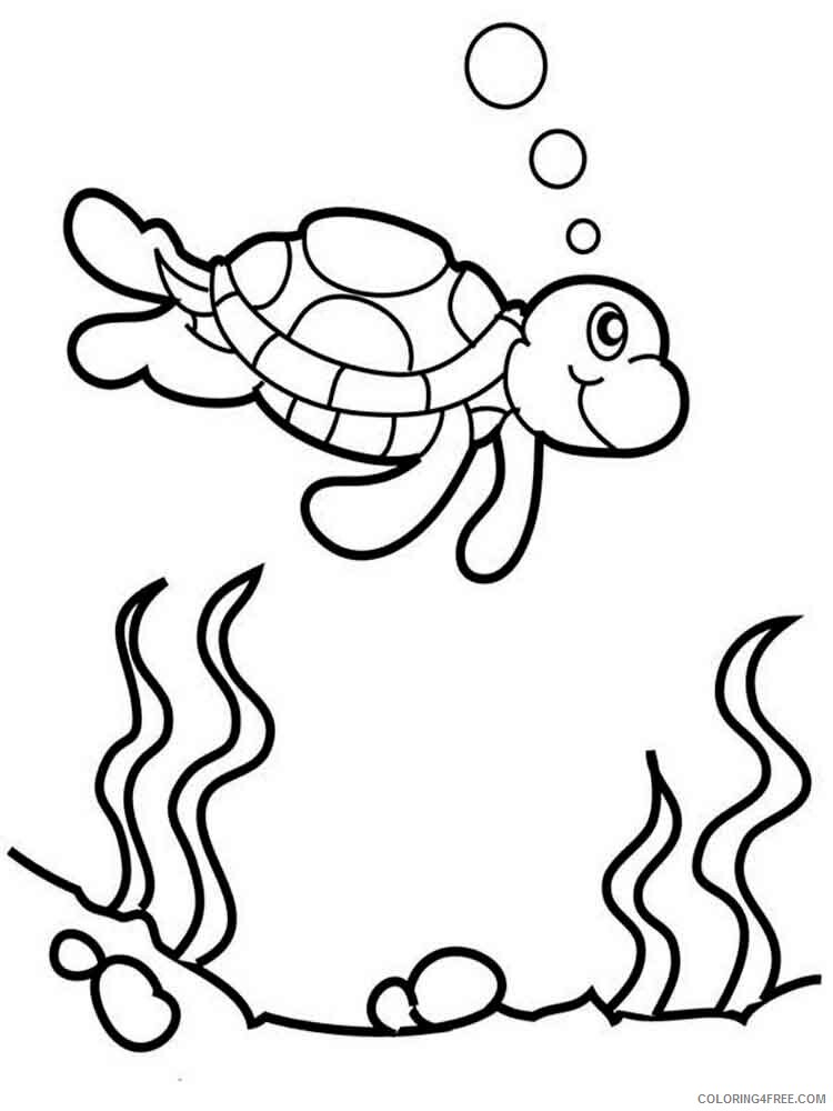Turtle Coloring Pages Animal Printable Sheets animals turtles 14 2021 4895 Coloring4free