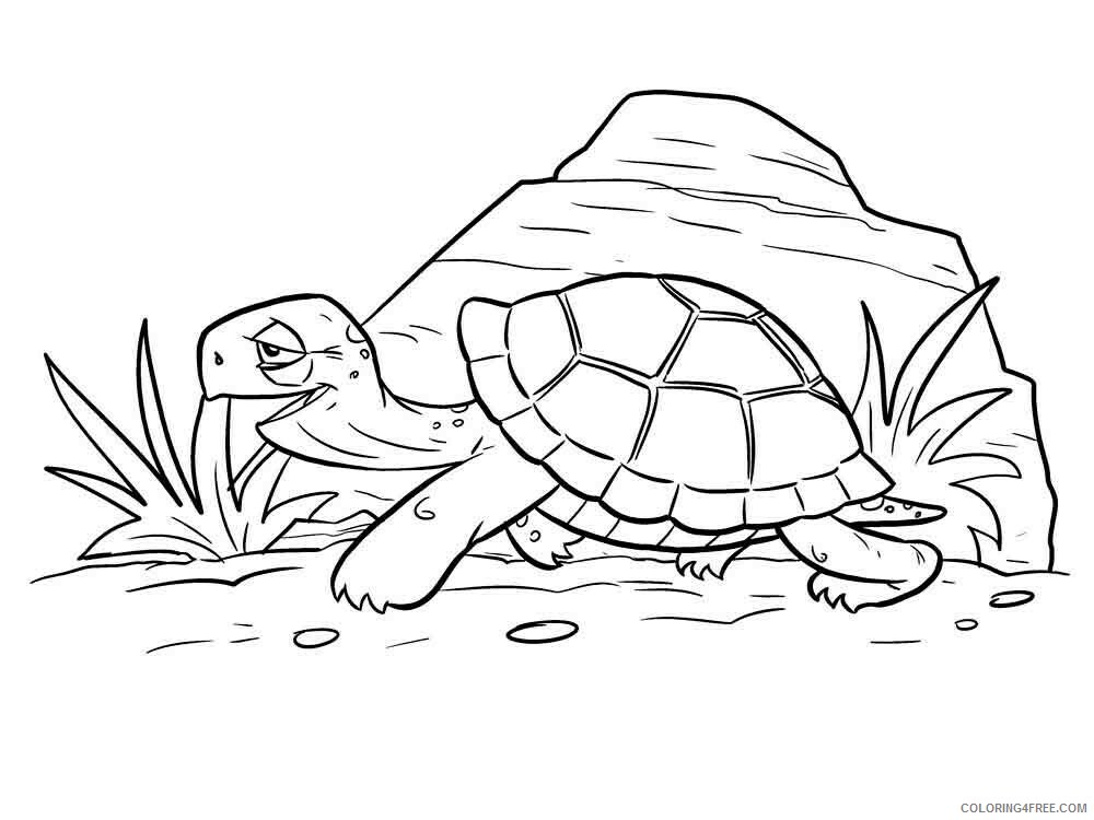 Turtle Coloring Pages Animal Printable Sheets animals turtles 20 2021 4896 Coloring4free