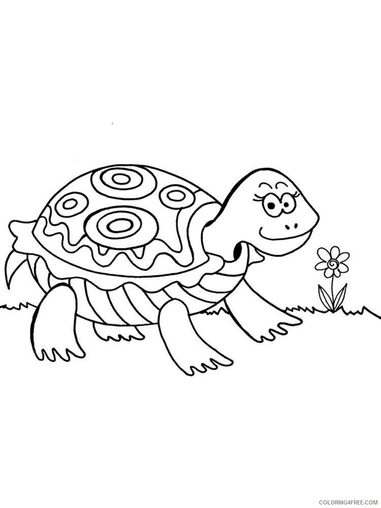 Turtle Coloring Pages Animal Printable Sheets animals turtles 5 2021 4898 Coloring4free