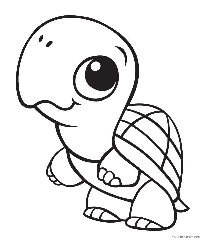 Turtle Coloring Pages Animal Printable Sheets cute baby turtle 2021 4887 Coloring4free