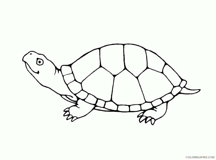 Turtle Coloring Sheets Animal Coloring Pages Printable 2021 4503 Coloring4free
