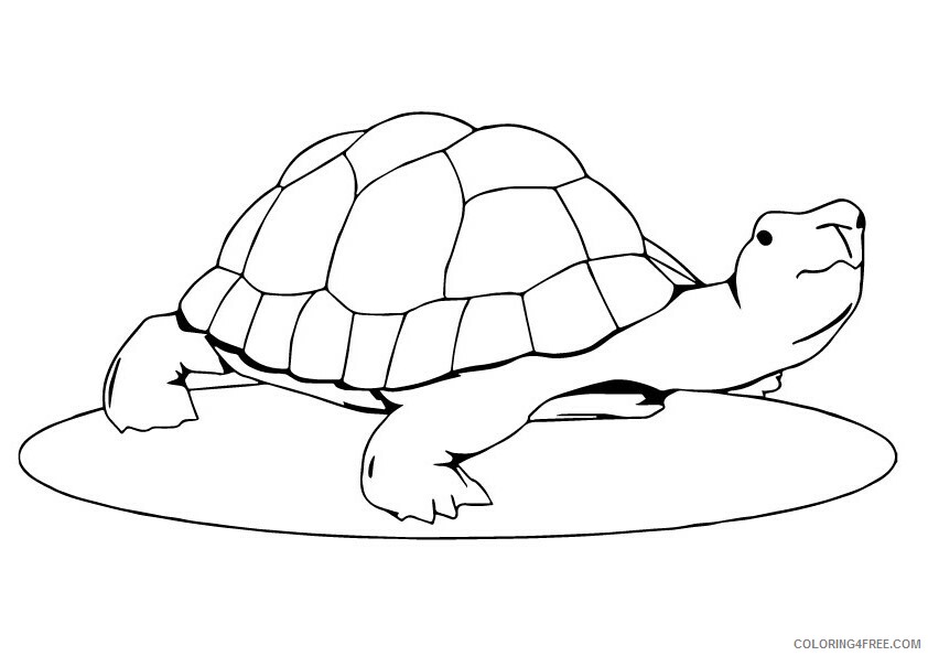 Turtle Coloring Sheets Animal Coloring Pages Printable 2021 4507 Coloring4free