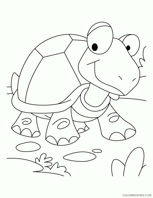 Turtle Coloring Sheets Animal Coloring Pages Printable 2021 4508 Coloring4free