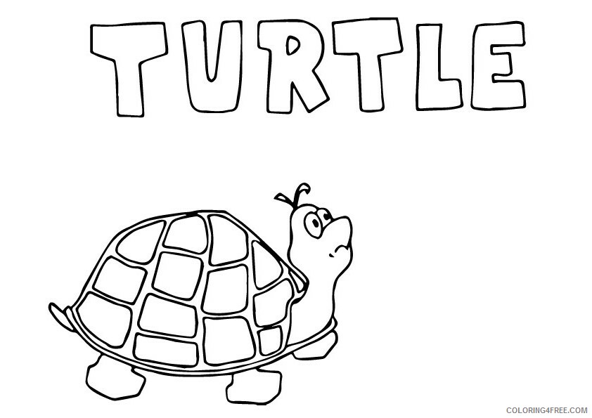 Turtle Coloring Sheets Animal Coloring Pages Printable 2021 4518 Coloring4free