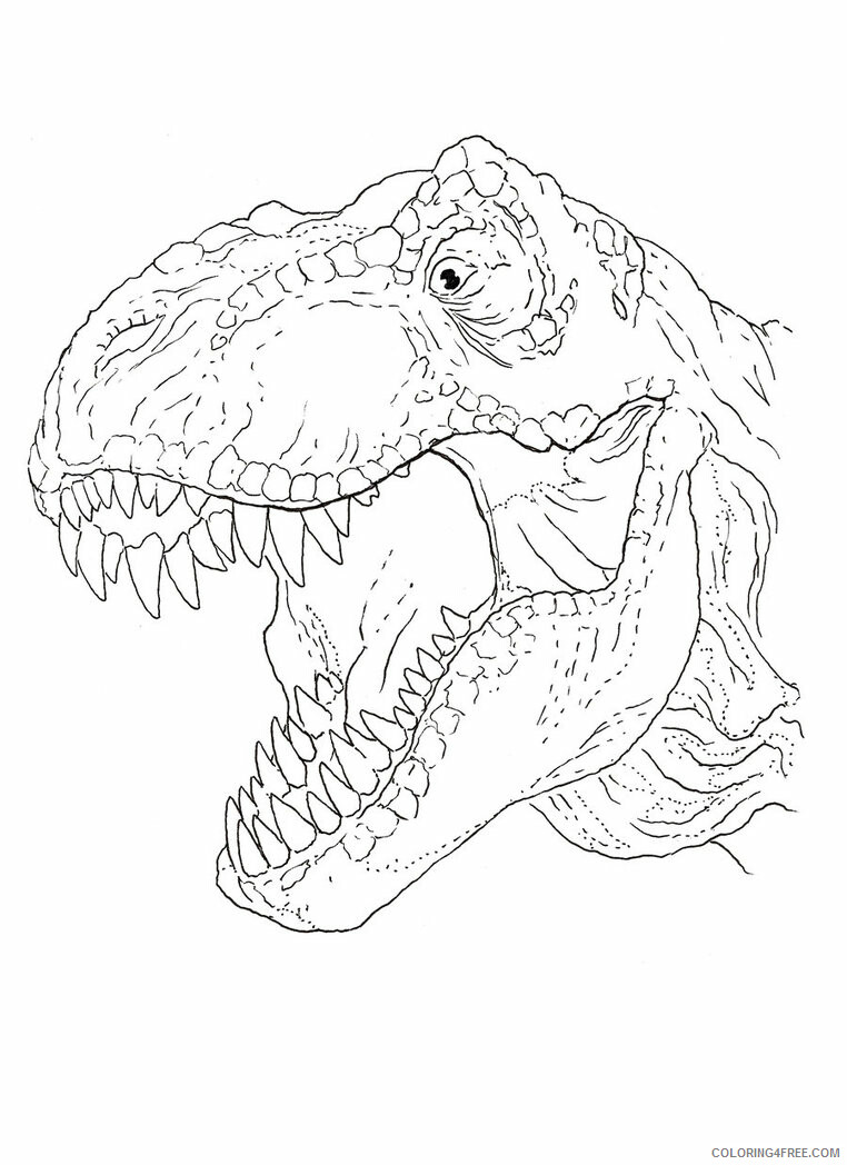 Tyrannosaurus Rex Coloring Pages Animal Printable Sheets Free TRex 2021 4911 Coloring4free