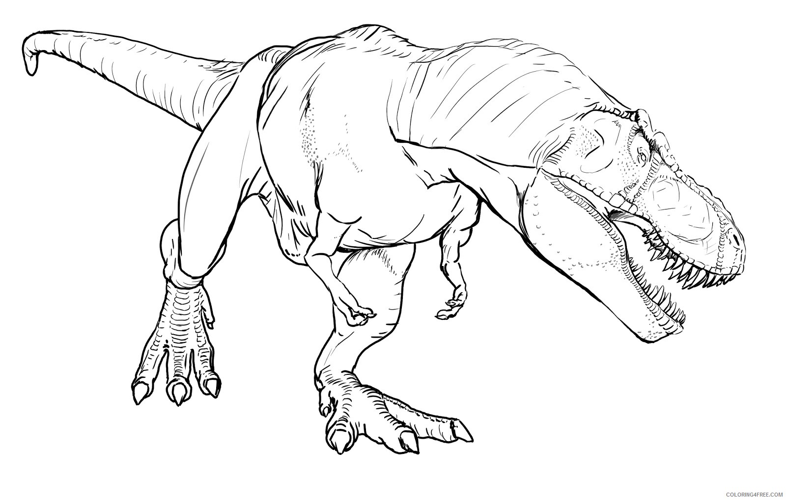 Tyrannosaurus Rex Coloring Pages Animal Printable Sheets TRexs 2021 4923 Coloring4free