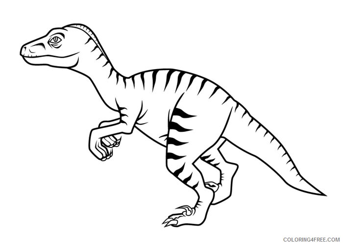 Velociraptor Coloring Pages Animal Printable Sheets Velociraptor 2021 4938 Coloring4free