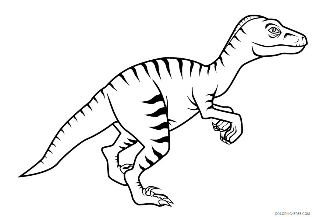 Velociraptor Coloring Pages Animal Printable Sheets Velociraptor 2021 4940 Coloring4free