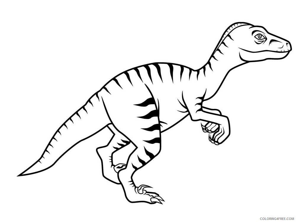 Velociraptor Coloring Pages Animal Printable Sheets Velociraptor 3 2021 4942 Coloring4free