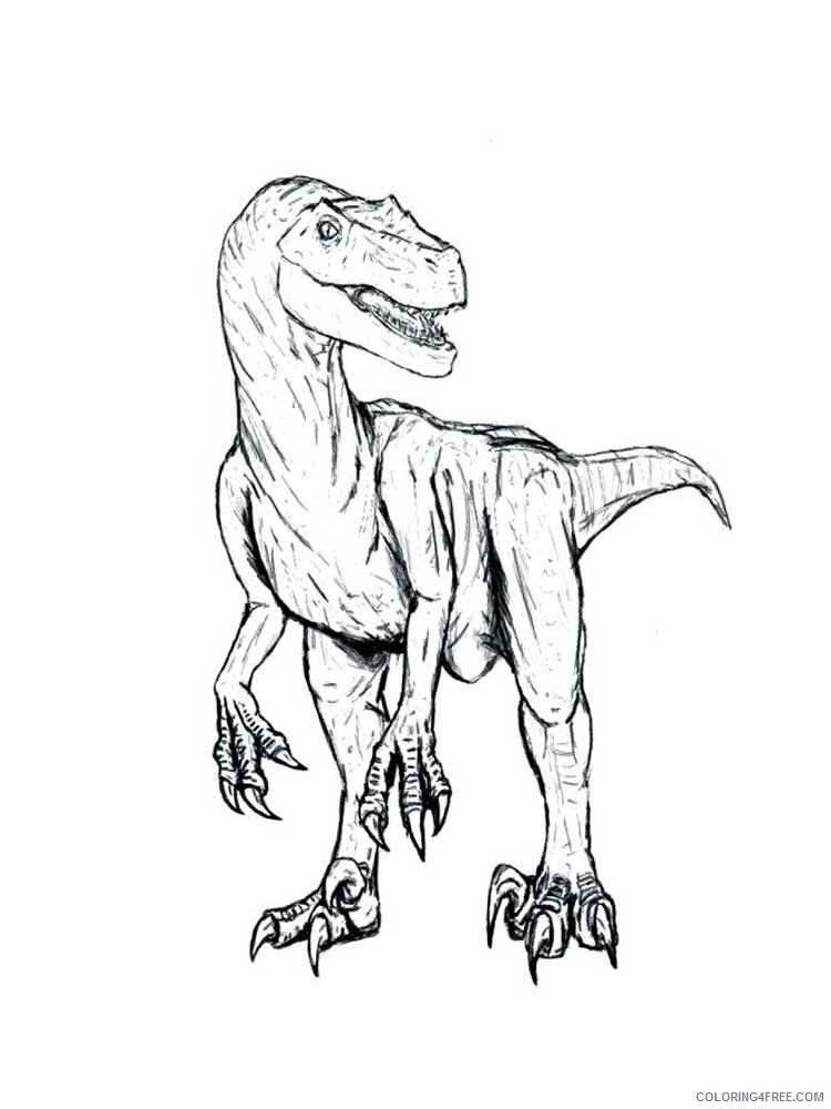 Velociraptor Coloring Pages Animal Printable Sheets Velociraptor 7 2021 4943 Coloring4free