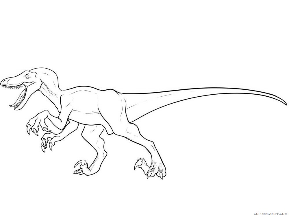 Velociraptor Coloring Pages Animal Printable Sheets Velociraptor 8 2021 4944 Coloring4free