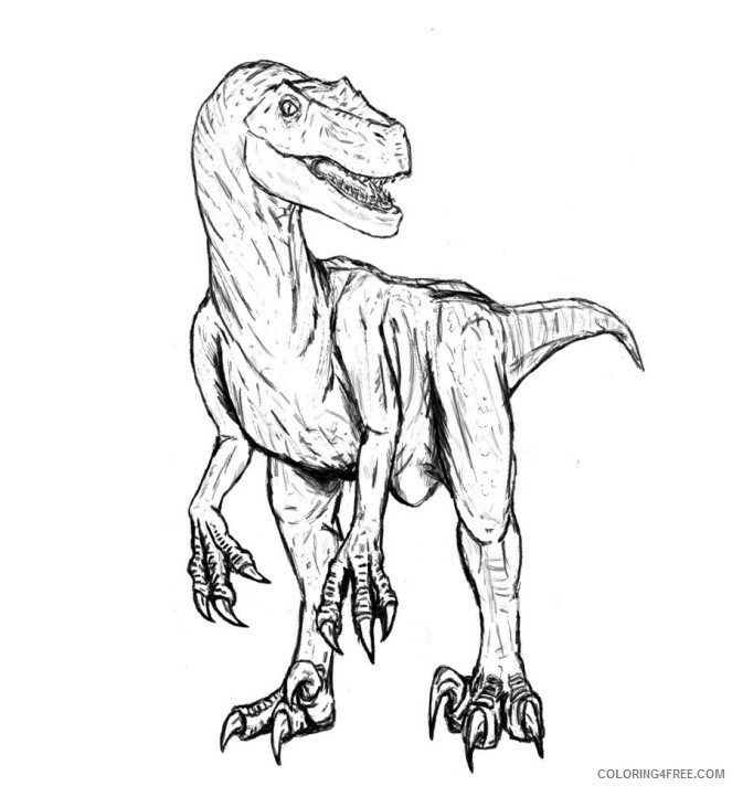 Velociraptor Coloring Pages Animal Printable Sheets Velociraptor Frees 2021 4946 Coloring4free