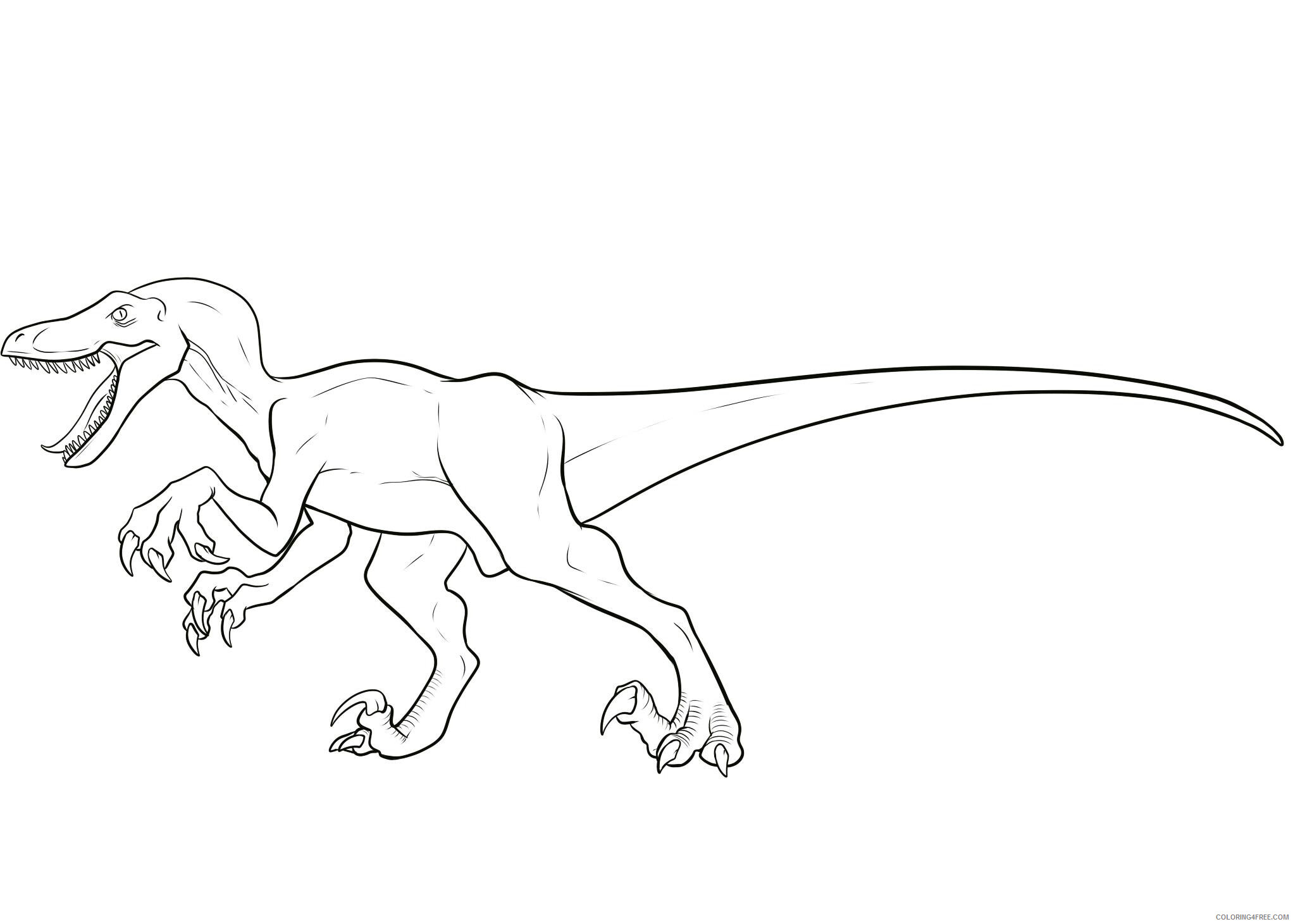 Velociraptor Coloring Pages Animal Printable Sheets Velociraptors 2021 4947 Coloring4free