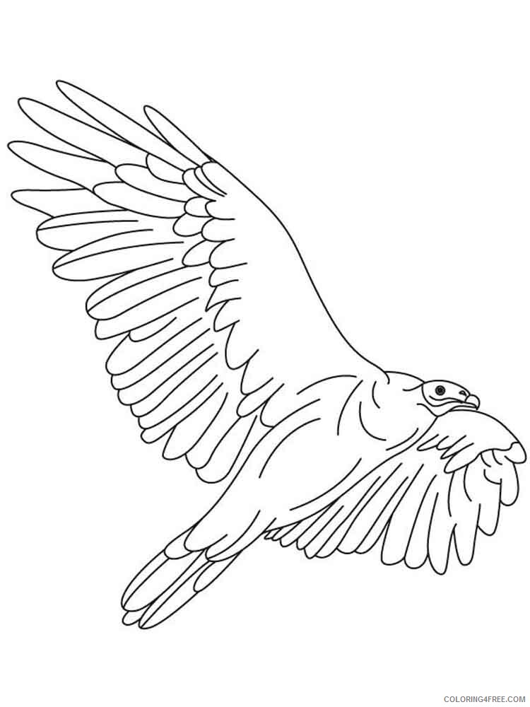 Vultures Coloring Pages Animal Printable Sheets Vultures birds 11 2021 4950 Coloring4free