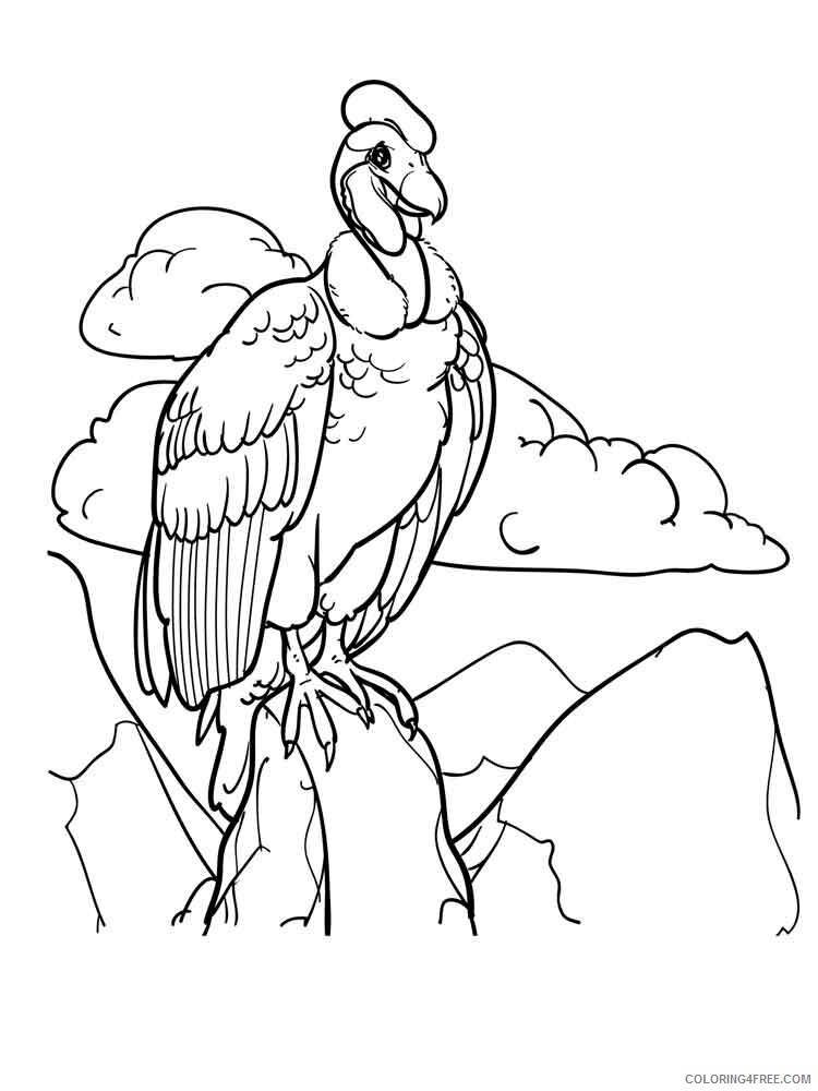 Vultures Coloring Pages Animal Printable Sheets Vultures birds 3 2021 4951 Coloring4free