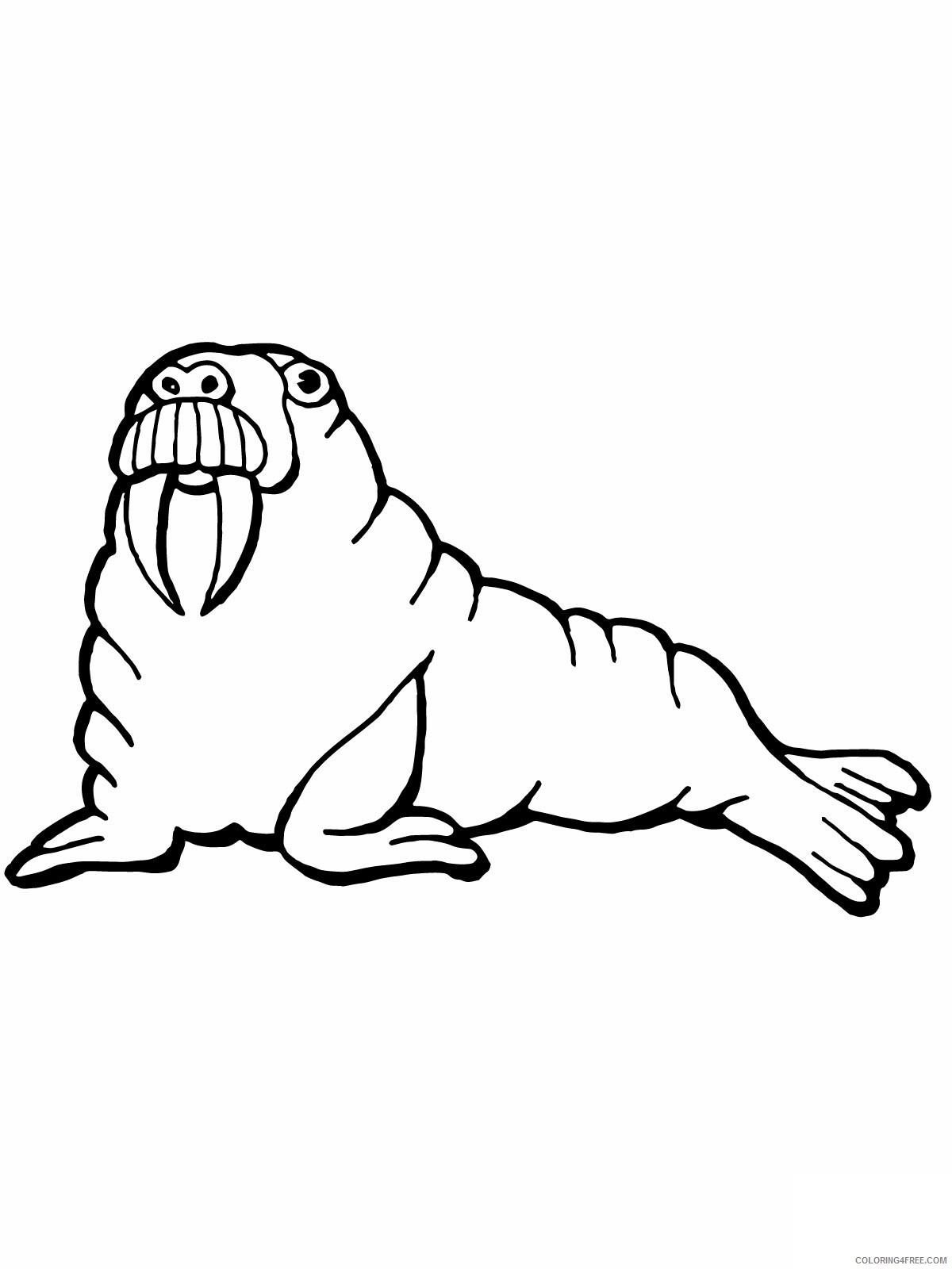 Walrus Coloring Pages Animal Printable Sheets Free Walrus 2021 4954 Coloring4free