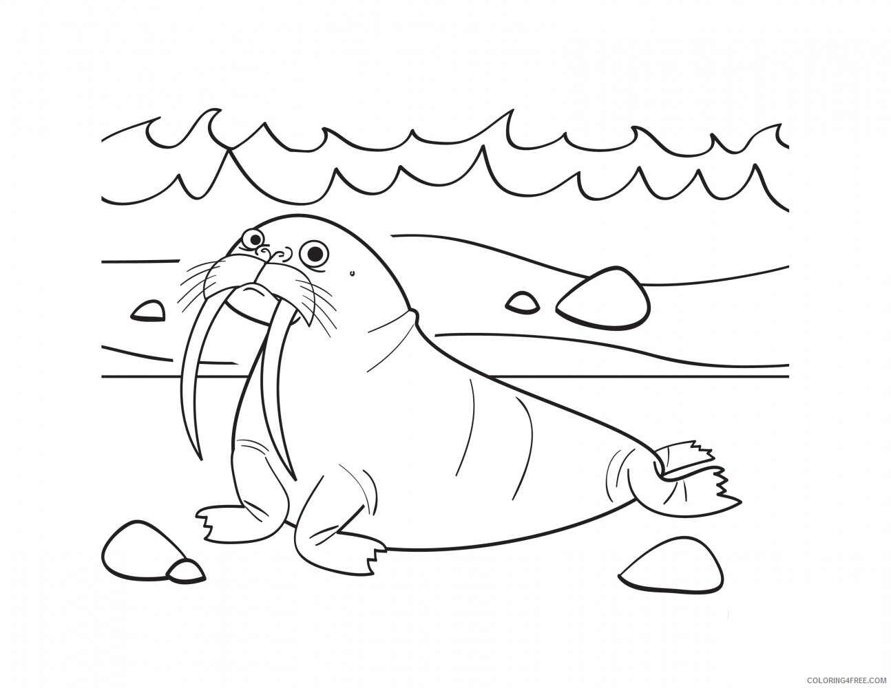 Walrus Coloring Pages Animal Printable Sheets Free Walrus 2021 4955 Coloring4free