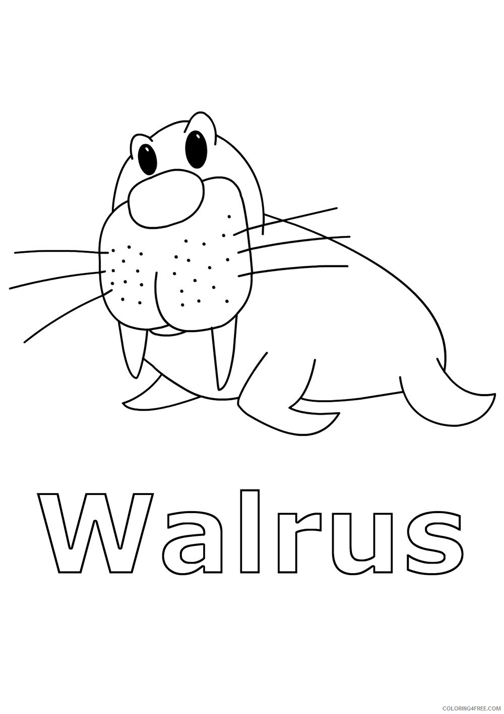 Walrus Coloring Pages Animal Printable Sheets Walrus Images 2021 4963 Coloring4free