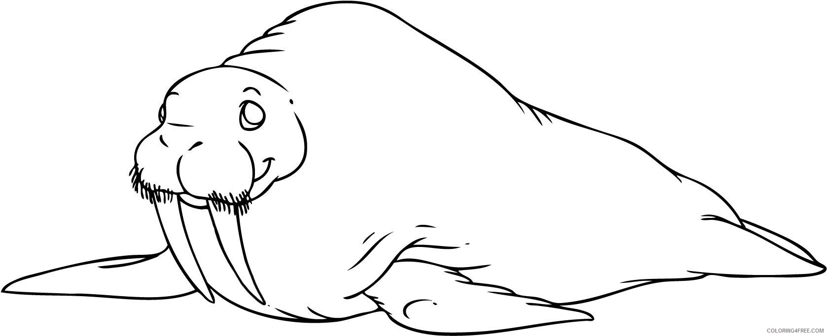 Walrus Coloring Pages Animal Printable Sheets of Walrus 2021 4952 Coloring4free