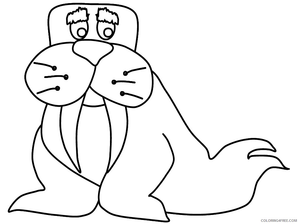 Walrus Coloring Pages Animal Printable Sheets walrus3 2021 4956 Coloring4free