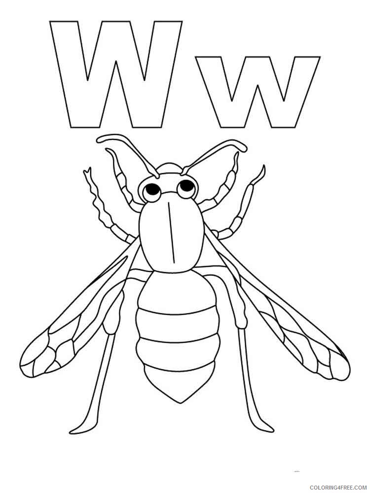 Wasp Coloring Pages Animal Printable Sheets Wasp 1 2021 4965 Coloring4free