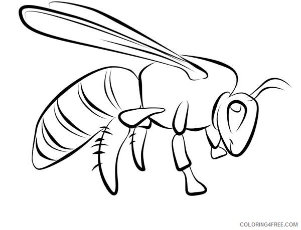 Wasp Coloring Pages Animal Printable Sheets Wasp Species of Bugs 2021 4969 Coloring4free