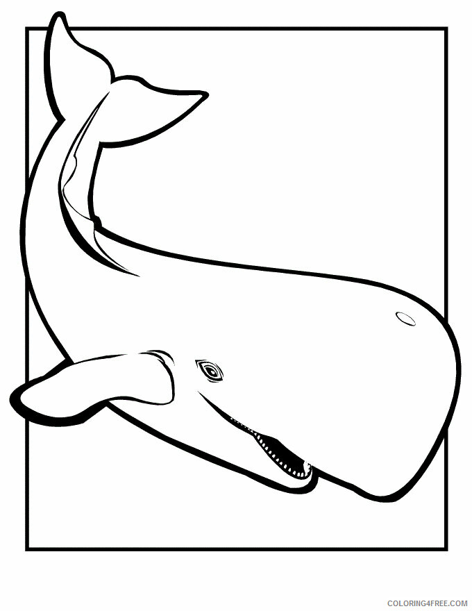Whale Coloring Pages Animal Printable Sheets Killer Whale 2021 4987 Coloring4free