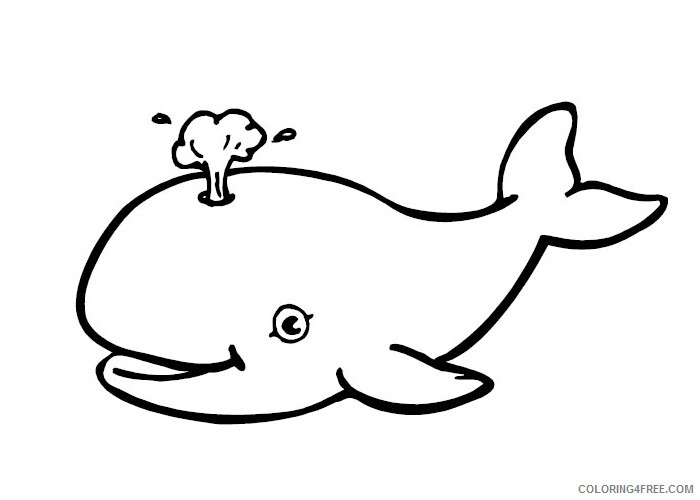 Whale Coloring Pages Animal Printable Sheets Whale 3 2021 4997 Coloring4free