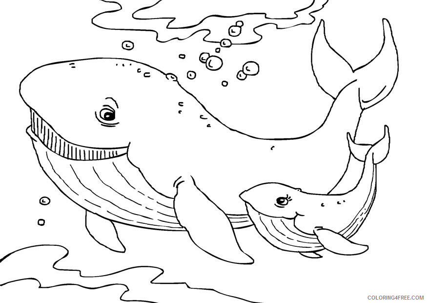 Whale Coloring Pages Animal Printable Sheets whale sheets 2021 4998 Coloring4free